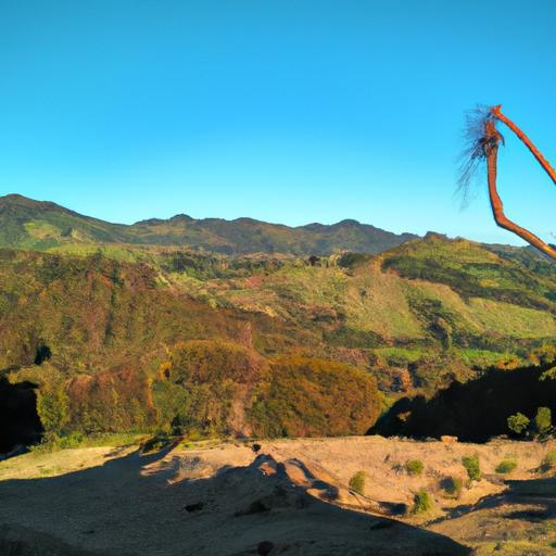 Abanicos de plumas de pavo real en la antigua Grecia: todo lo que debes saber