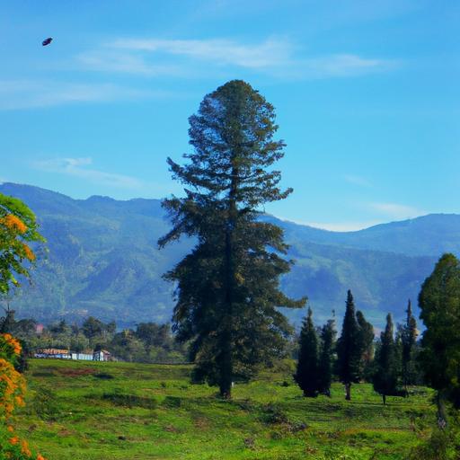 Entendiendo Eudaimonia en Grecia: Un Análisis Filosófico desde Platón