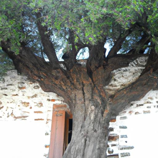 El origen histórico de la eutanasia en la Grecia antigua