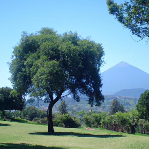 Descubre las mejores opciones de casas en venta en Grecia, Costa Rica